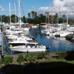 Joli appartement vue sur la Marina